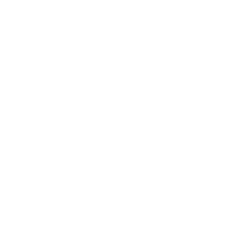 carro-150x150